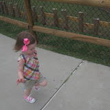 IMG_1829.jpg