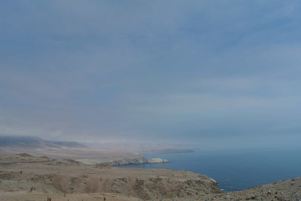[DSC_72103.jpg]