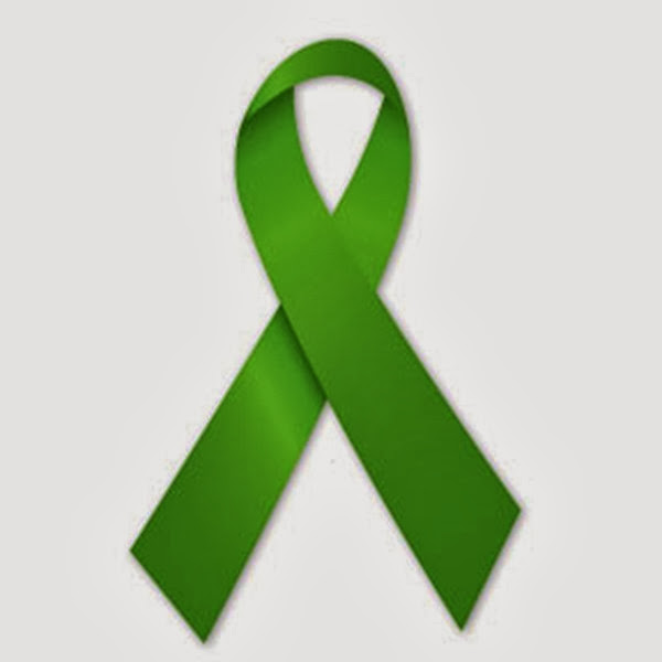 sandy-hook-green-ribbon