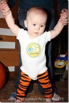 IMG_0099 (2) IMG_0099 (2)