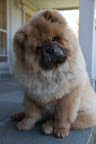 Girls, I really enjoyed my grooming experience.