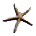 [seastar9%255B3%255D.png]