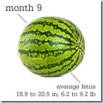 37 weeks