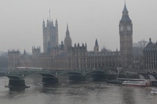 IMG_1349 IMG_1349