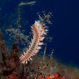 20091022-IMG_5941