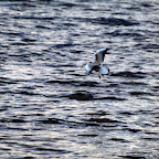 20100822_170_small.JPG