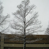 IMG_9902.JPG