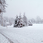 20091201 Allgaeu 1000 [640x480].JPG