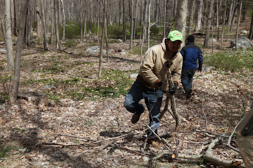 I don't know Franny.  Those guys look like they're on a mission clearing the woods of fallen branches.