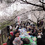 DSC02210.JPG