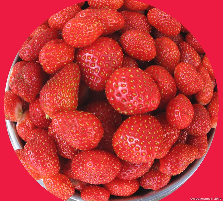 [strawberries%2520circle%255B3%255D.jpg]