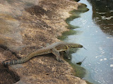South Africa - 146.JPG