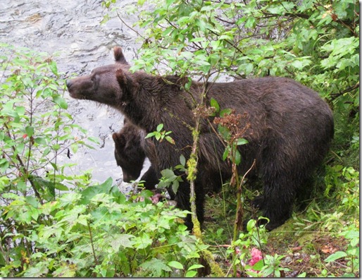 Hyder, AK 176 (800x600)