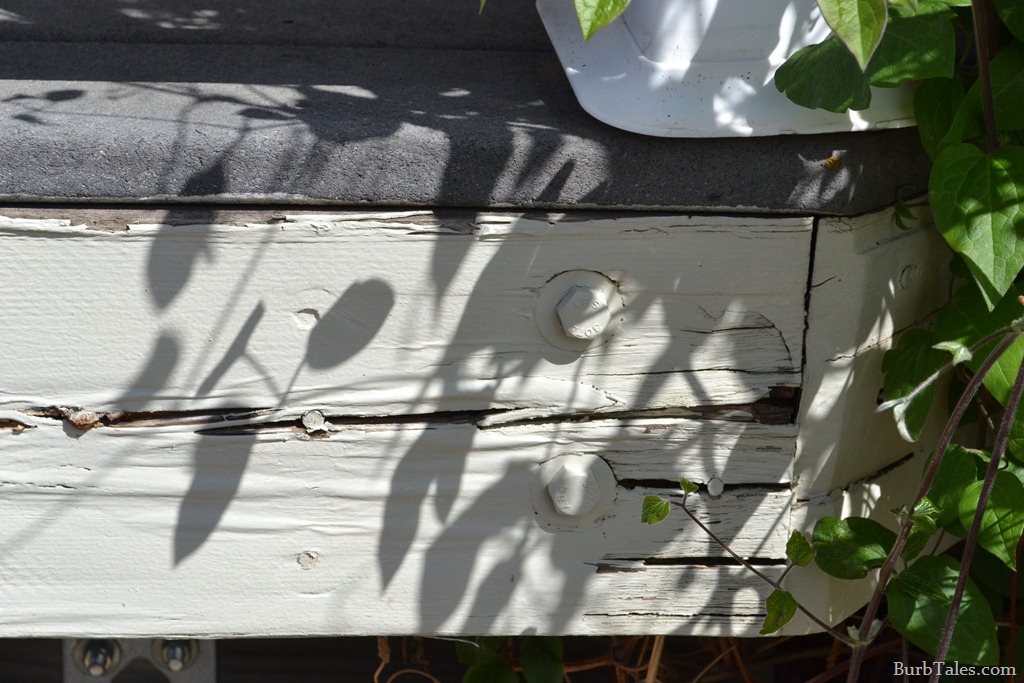 [DSC_1163%255B7%255D.jpg]