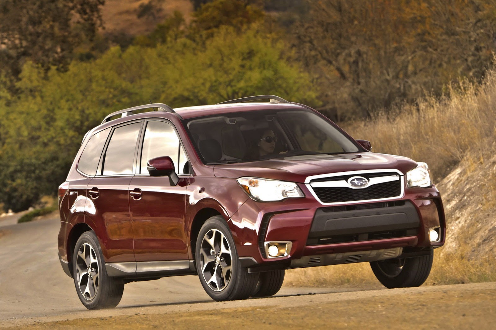 [2014-Subaru-Forester-24%255B2%255D.jpg]