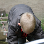 Bevers_Splinter_2011_020.jpg