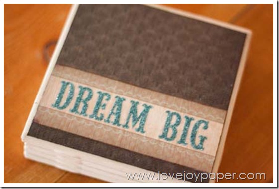 DreamBigCoasters3