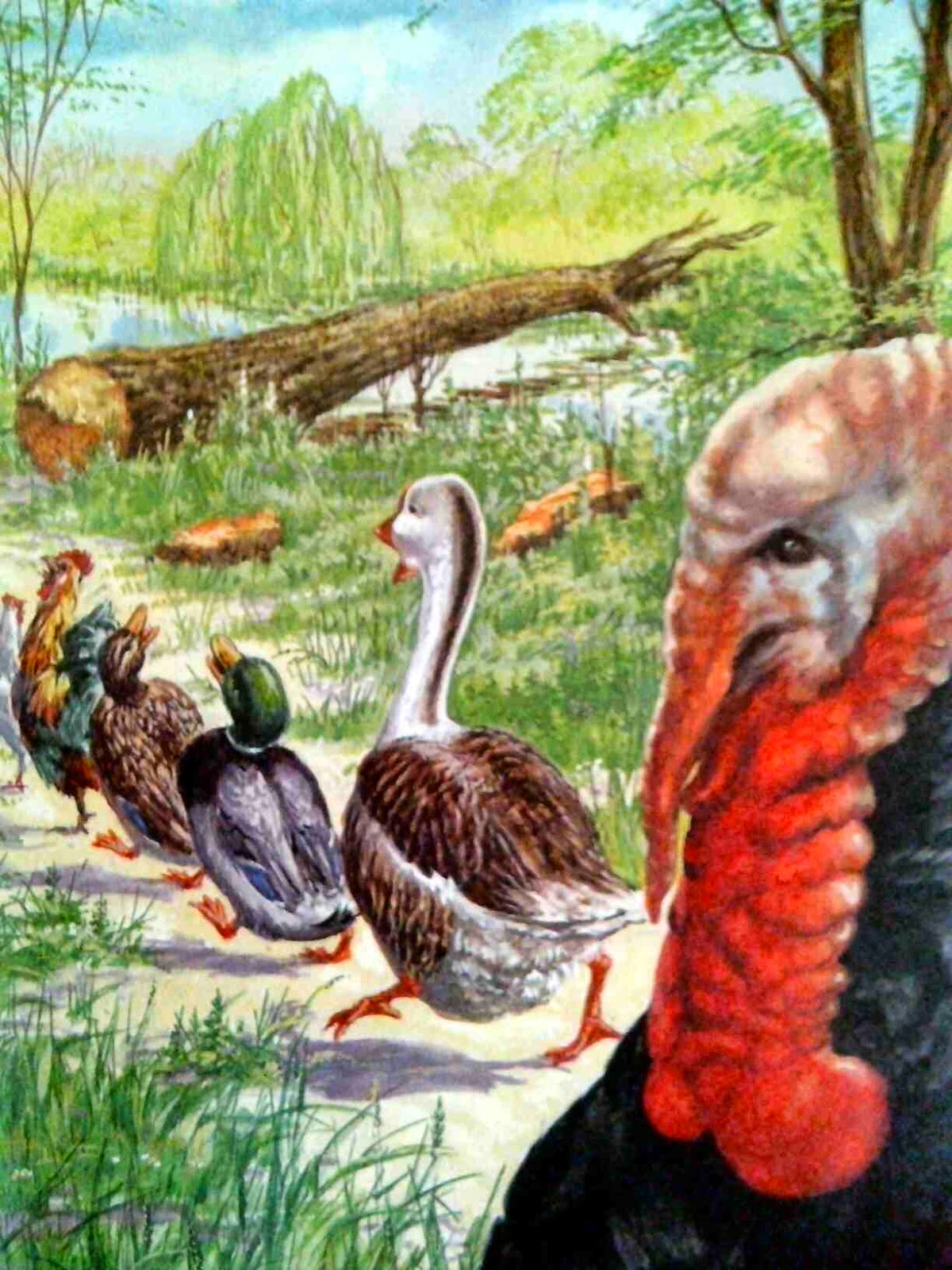 NALASJEBANG napak tilas jejak bangsaku Buku "Well Loved TalesChicken