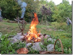 sacred fire sacrifice sacred fire sacrifice