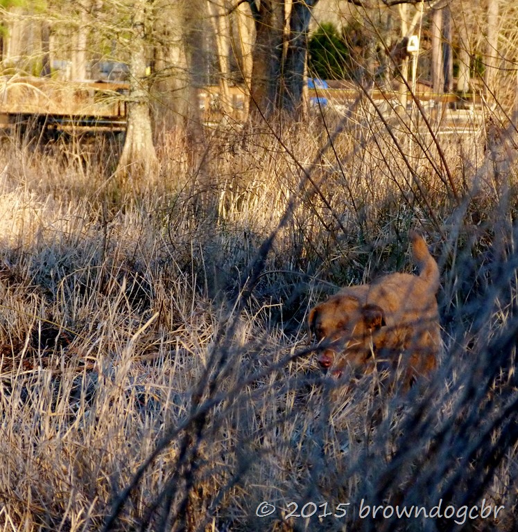 [P1480495%255B13%255D.jpg]