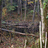 DSC_0317.JPG