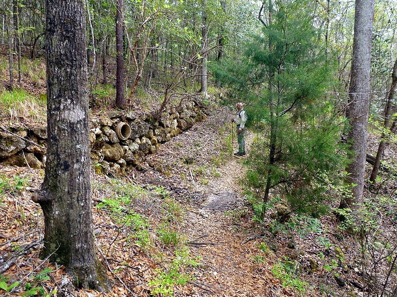 [Hiking---along--Rock-Wall6.jpg]