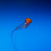 Family fun and Vacation 2007-2009 237.JPG