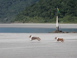 [FDS%2520Ecaologico%25206%2520%2528300%2529%255B4%255D.jpg]