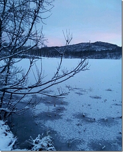2011-12-03_11.59.45
