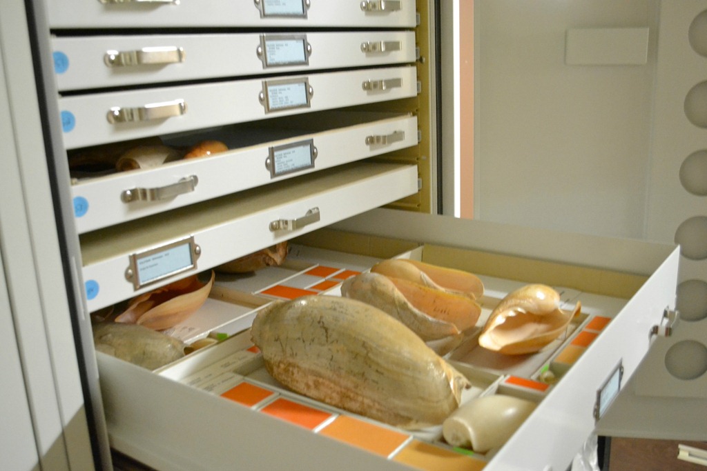 [NaturalHistory_20%255B5%255D.jpg]