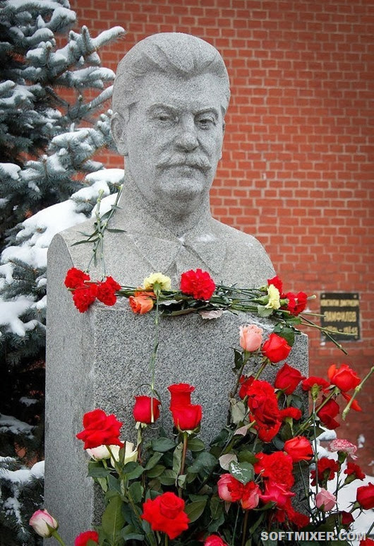 Stalin_flower Stalin_flower
