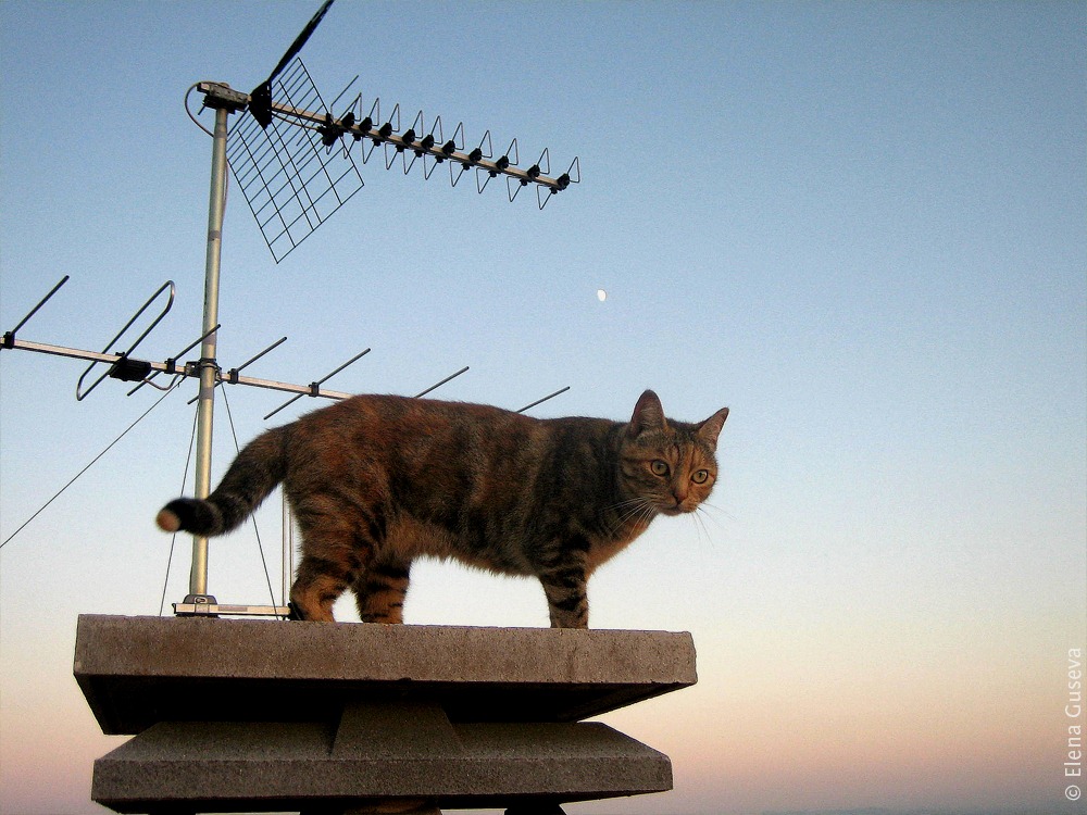 [24%255B10%255D.jpg]