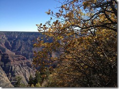 IMG_1293 IMG_1293