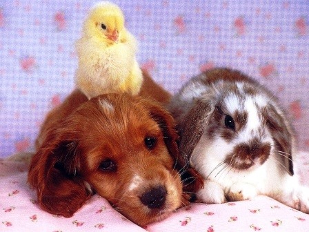 [NjQtYTRlN%255B4%255D.jpg]