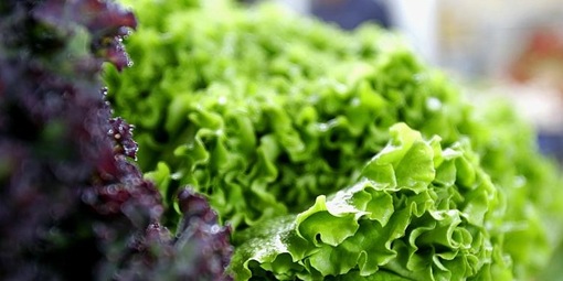 Curso de Métodos de Conservação de Alimentos - Cursos Visual Dicas