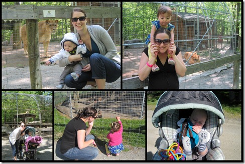 Zoo Pics for Blog