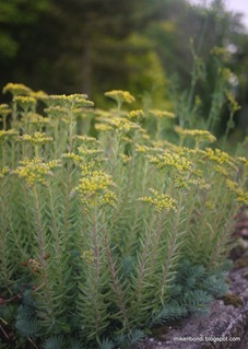P1090969