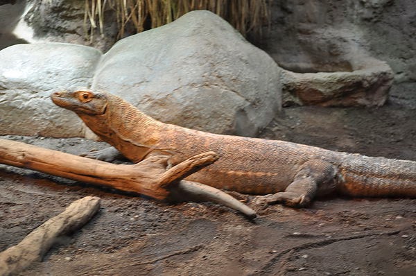 DSC_0368.JPG DSC_0368.JPG