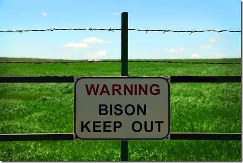 Bison Sign
