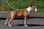 Karmacoma SUPERSTYLIN' 4 months