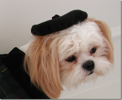 Beret%20-%20Black_large