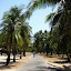 Road through Nemberala
