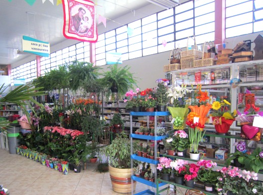 [flores%255B2%255D.jpg]
