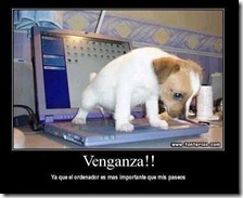 humor compartir (26)