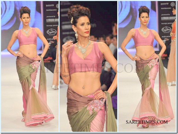 Jashn_IIJW_Saree (10)