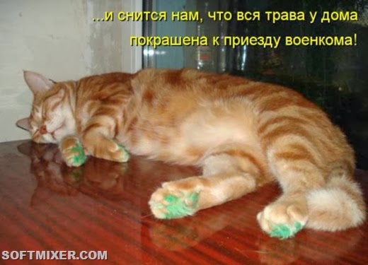 [ca9736f642b07dcf958c60bea81_prev%255B5%255D.jpg]