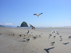 DSCN3350.JPG