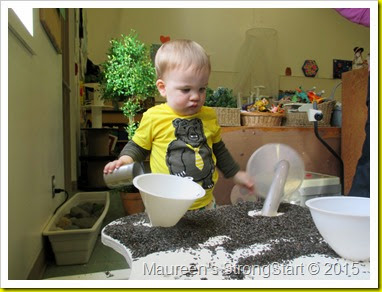 IMG_3305 IMG_3305