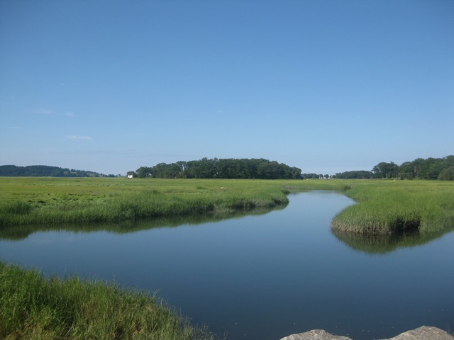 [IMG_4470%255B2%255D.jpg]