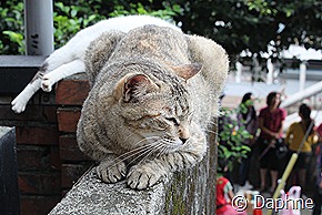 IMG_6145 IMG_6145